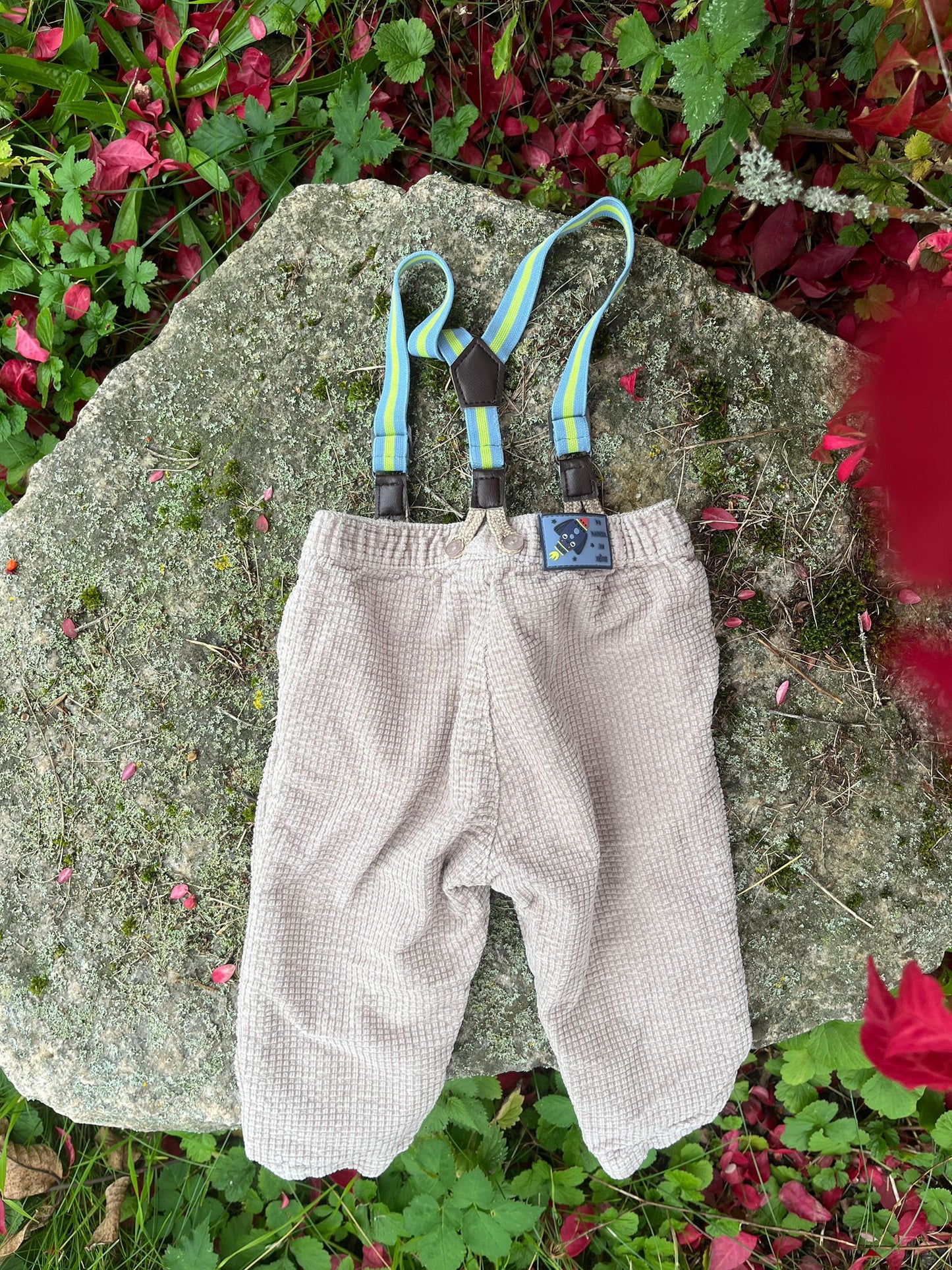 The Dapper Pants